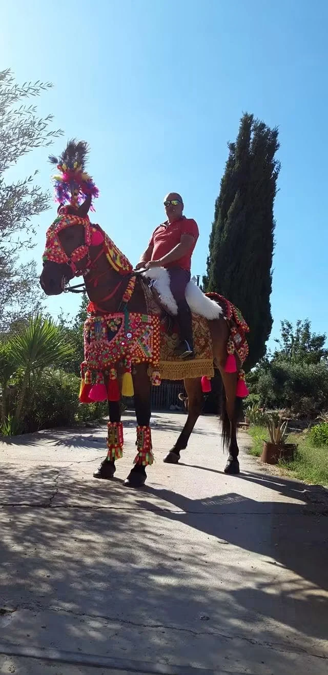 Un cavaliere in sella al suo cavallo bardato, con il pennacchio e la gualdrappa colorata